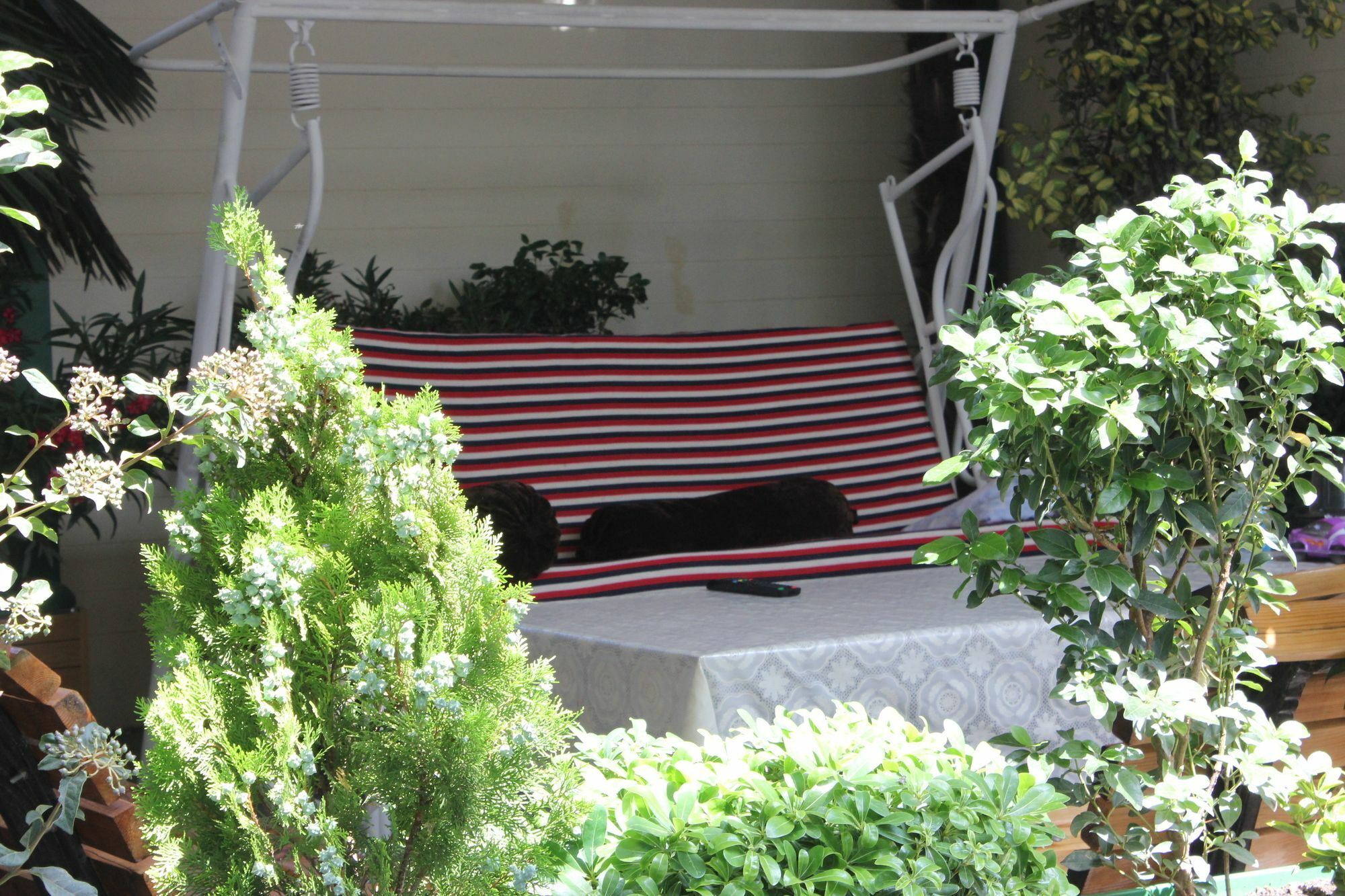 Vedzisi Garden Hotel Tbilisi Exterior photo